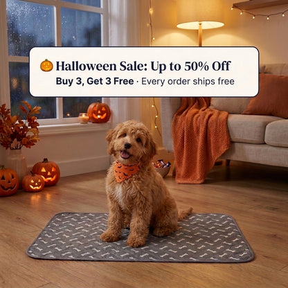 WashPaw Reusable Pee Pad for Dogs