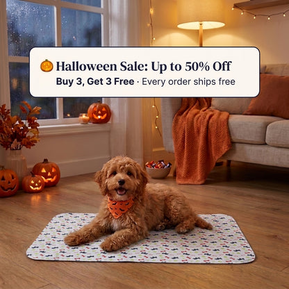 WashPaw Reusable Pee Pad for Dogs